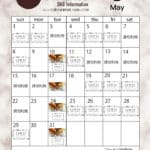 5月のカフェカレンダーが完成しました！